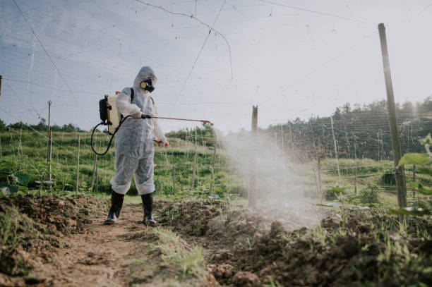 Best Affordable Pest Control Services  in Avonmore, PA