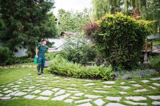 Best Exterminator Services  in Avonmore, PA