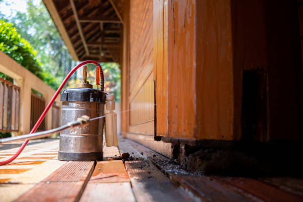 Best Local Pest Control Services  in Avonmore, PA