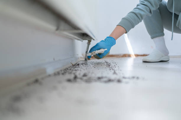 Best Bed Bug Extermination  in Avonmore, PA