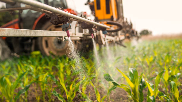 Best Mosquito Control Services  in Avonmore, PA